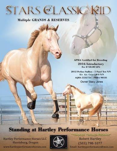 Stars Classic Kid - AQHA Perlino Stallion